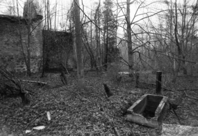 1990-г-дек-deutsch-тierau-иванцово-кладбище.jpg