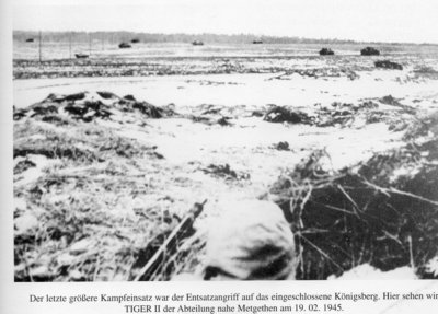 Последнее большое военное наступление на Кенигсберг. Здесь видим мы Тигры II подразделения 505 батальона около Метгетена 19.02.1945