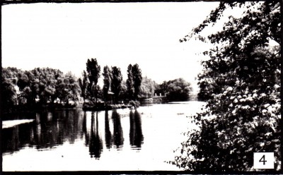 Калининград - Озеро в Матросском (40-летия ВЛКСМ) парке, 1968г.jpg