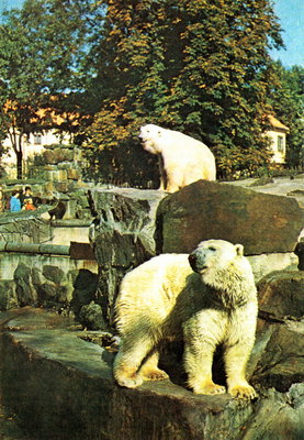 Калининградский зоопарк (путеводитель)_1984_05_новый размер.jpg