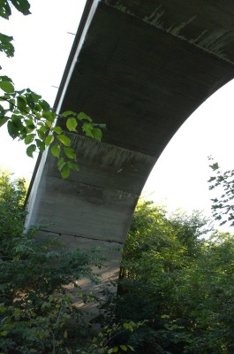 Мост на жд линии светлогорск - янтарный2.jpg